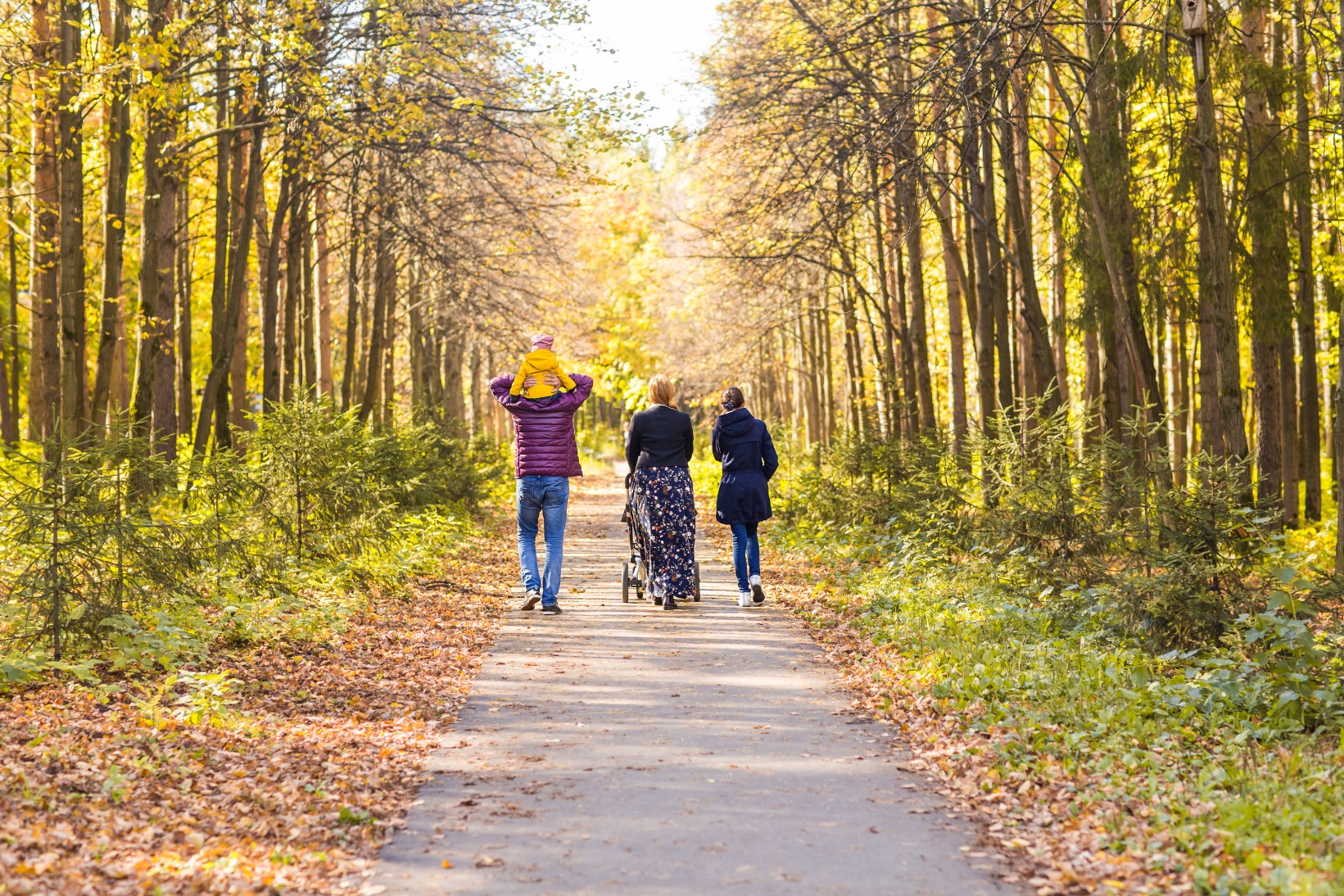 young-family-outdoors-walking-through-autumn-park-PWBLP9L (1)